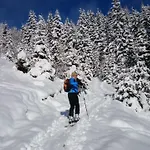 Hohe Tauern In Apartamento Piesendorf