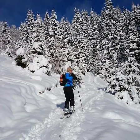 Hohe Tauern In Apartment Piesendorf