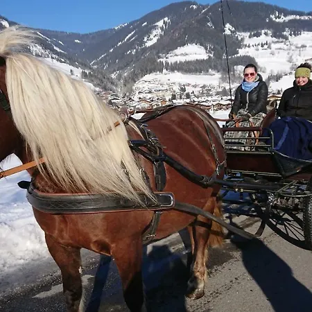 Hohe Tauern In Apartamento