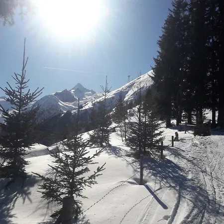 Hohe Tauern In Apartamento Piesendorf