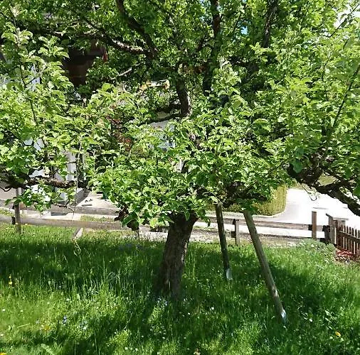 Apartman Hohe Tauern In Piesendorf