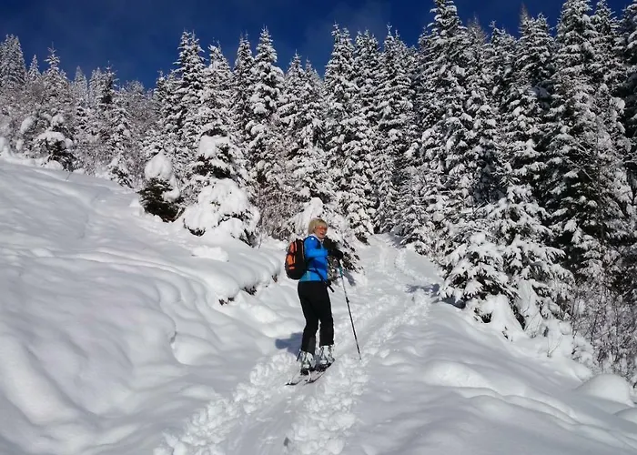 Hohe Tauern In شقة بيسندورف