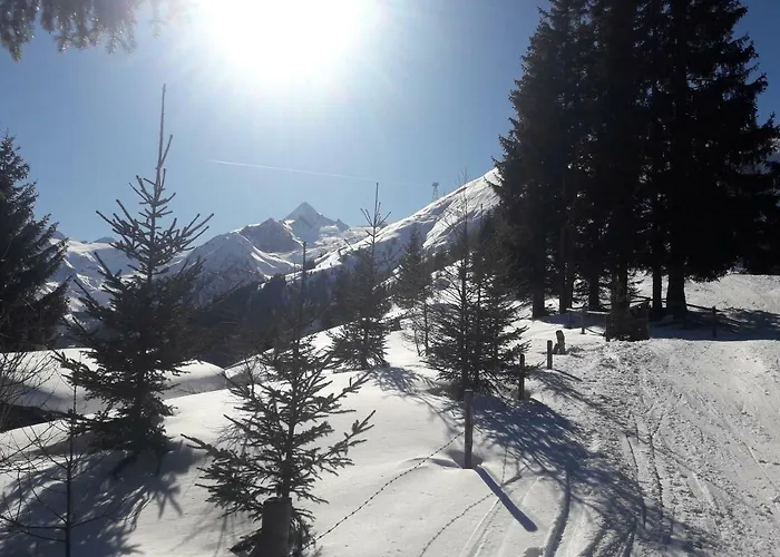 Hohe Tauern In Apartman Piesendorf